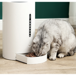 Cat Smart Feeder with Timing