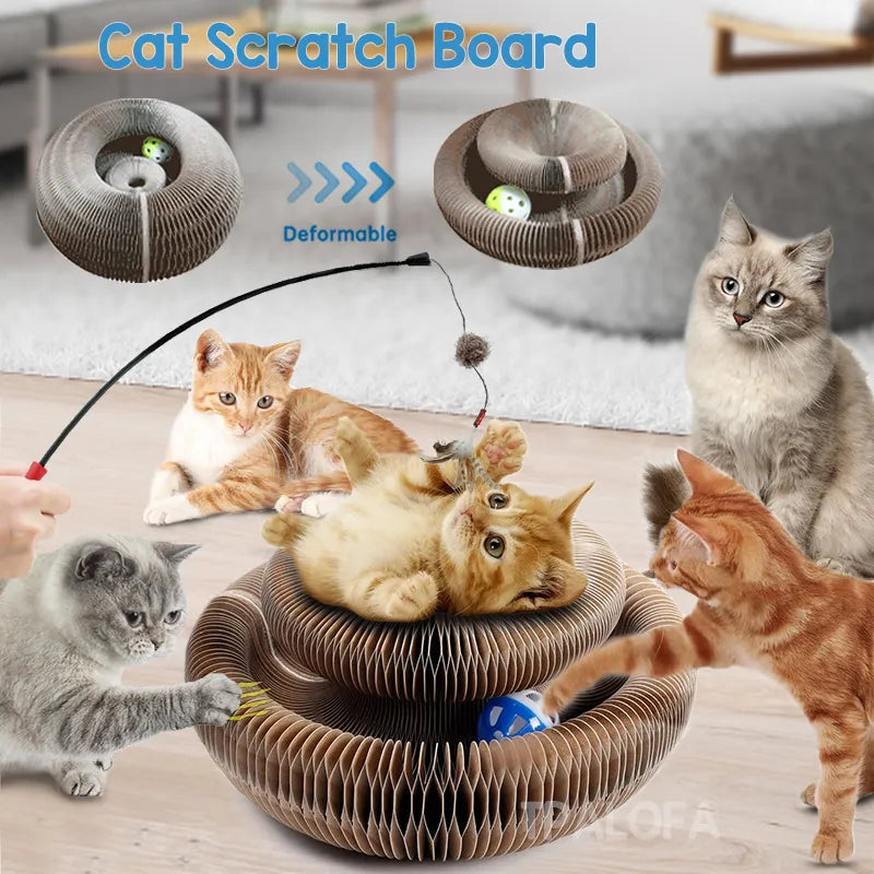 All in one Cat scratching board