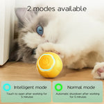 Smart Electric Cat Ball Toys Interactive Kitten Exercise Training Chase Balls 360° Rolling Playing Rechargeable Pet Accessories