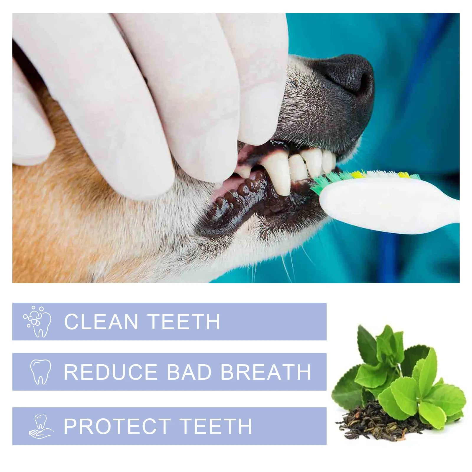 Pet Toothpaste Kitten Dental Plaque Tartar Removal Teeth Whitening Toothpaste Dog Mouth Fresh Deodorant Oral Care Grooming Tools