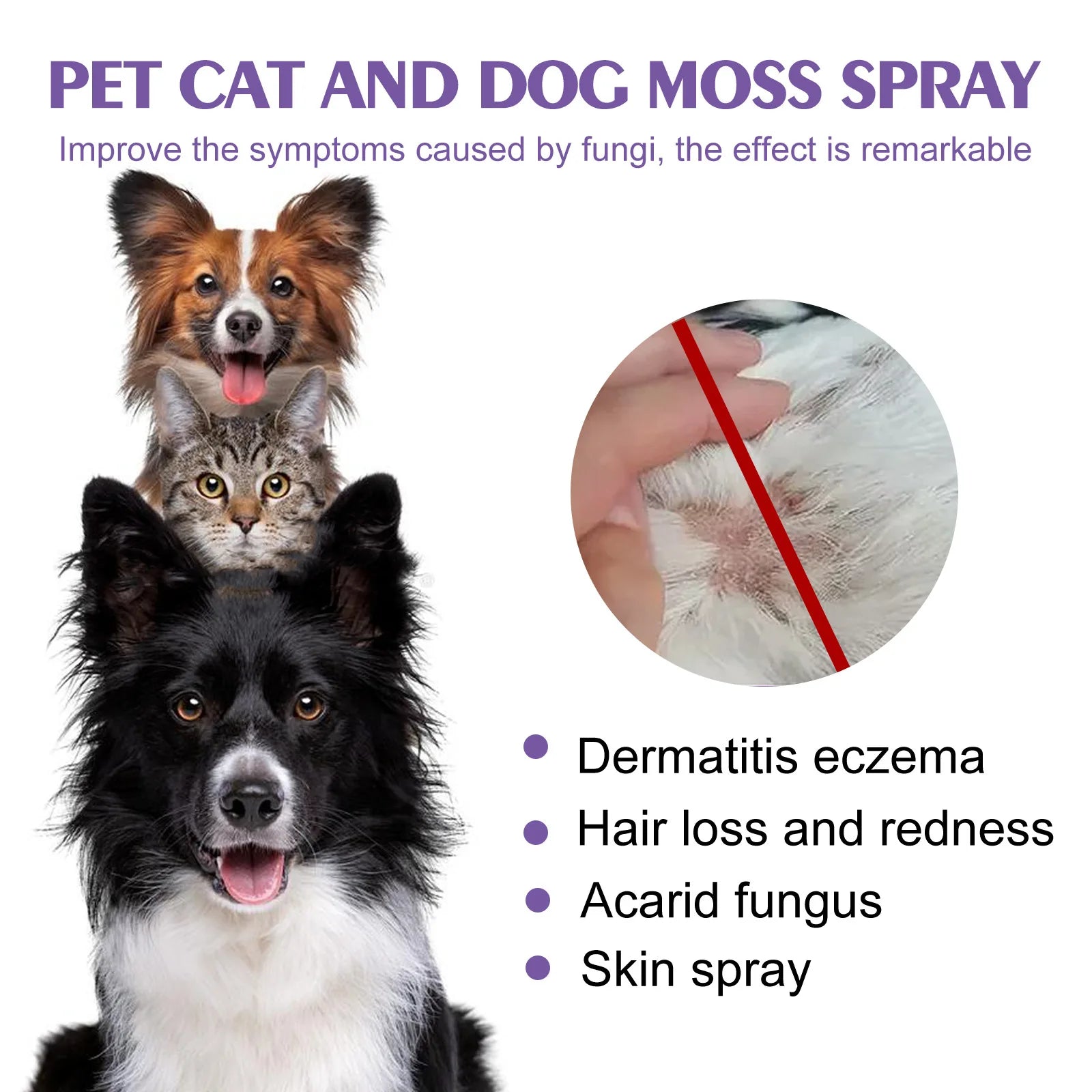 Pet Skin Care Spray Flea Lice Insect Killer Spray For Dog Cat Puppy Kitten Treatment Soothe Itching Remove Mites Eliminator 60ml